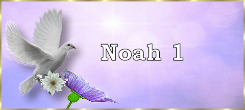 Noah1