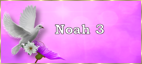 Noah3