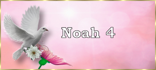 Noah4