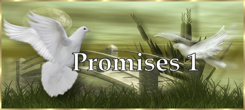 Promises